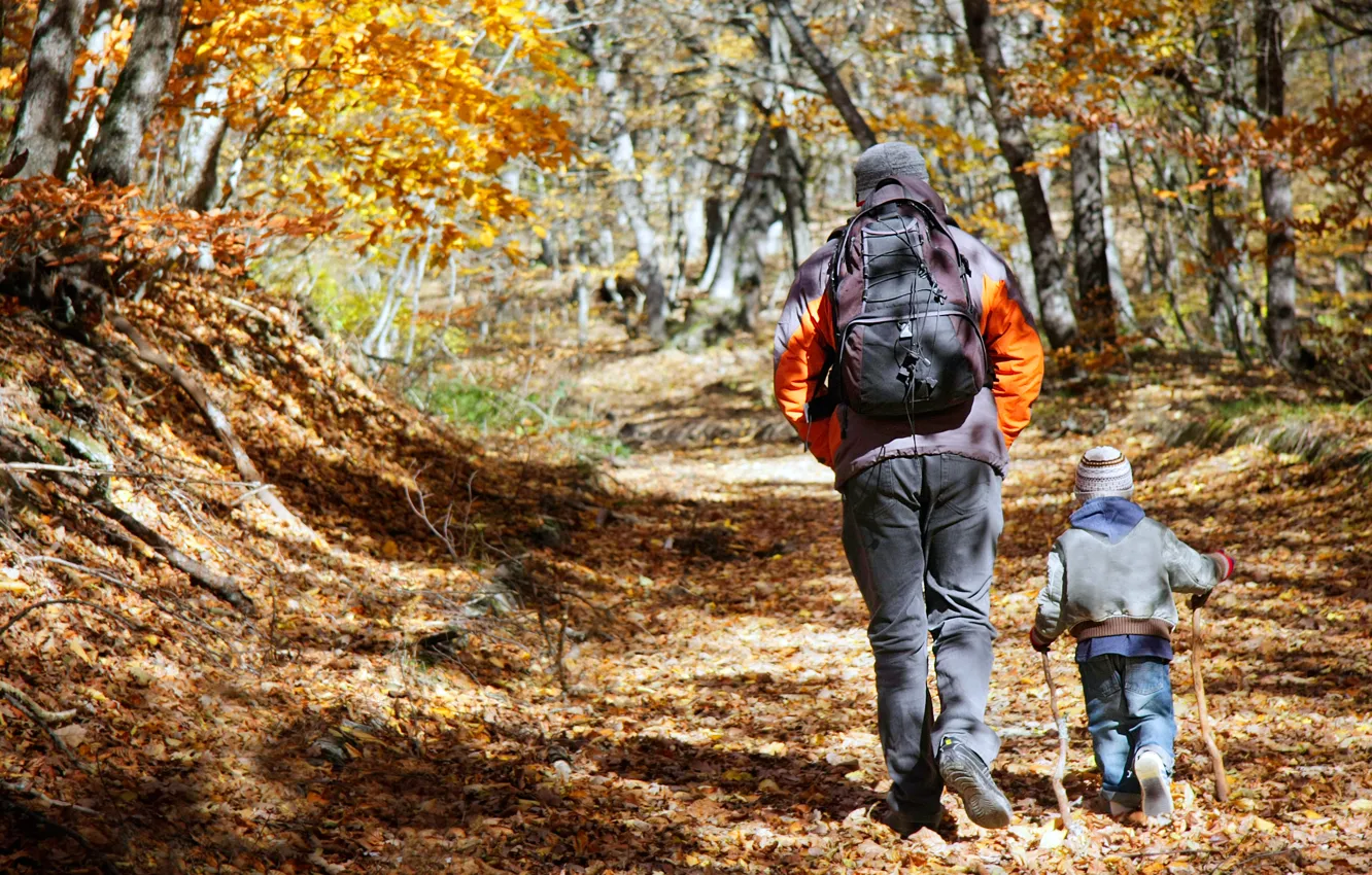 Фото обои child, adult, Forest, Hiking, father and son