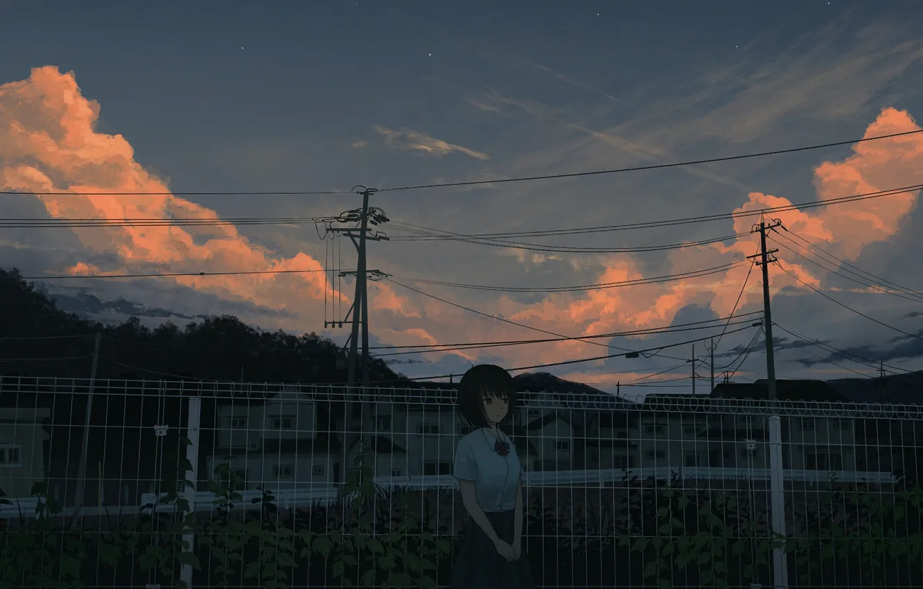 Фото обои девушка, облака, столбы, провода, забор, вечер