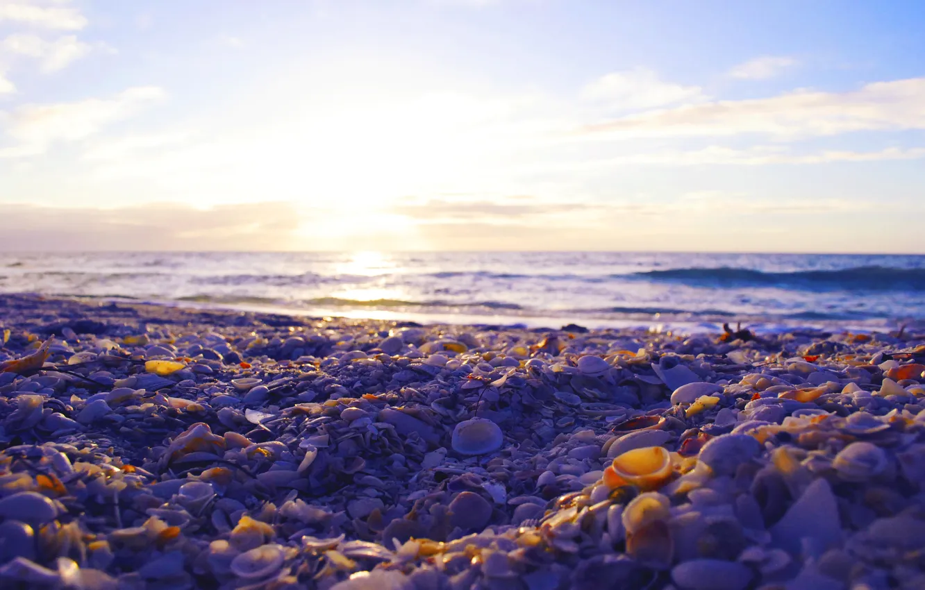 Фото обои море, камни, ракушки
