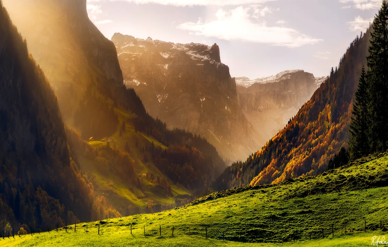 Фото обои осень, лес, горы, швейцария, альпы