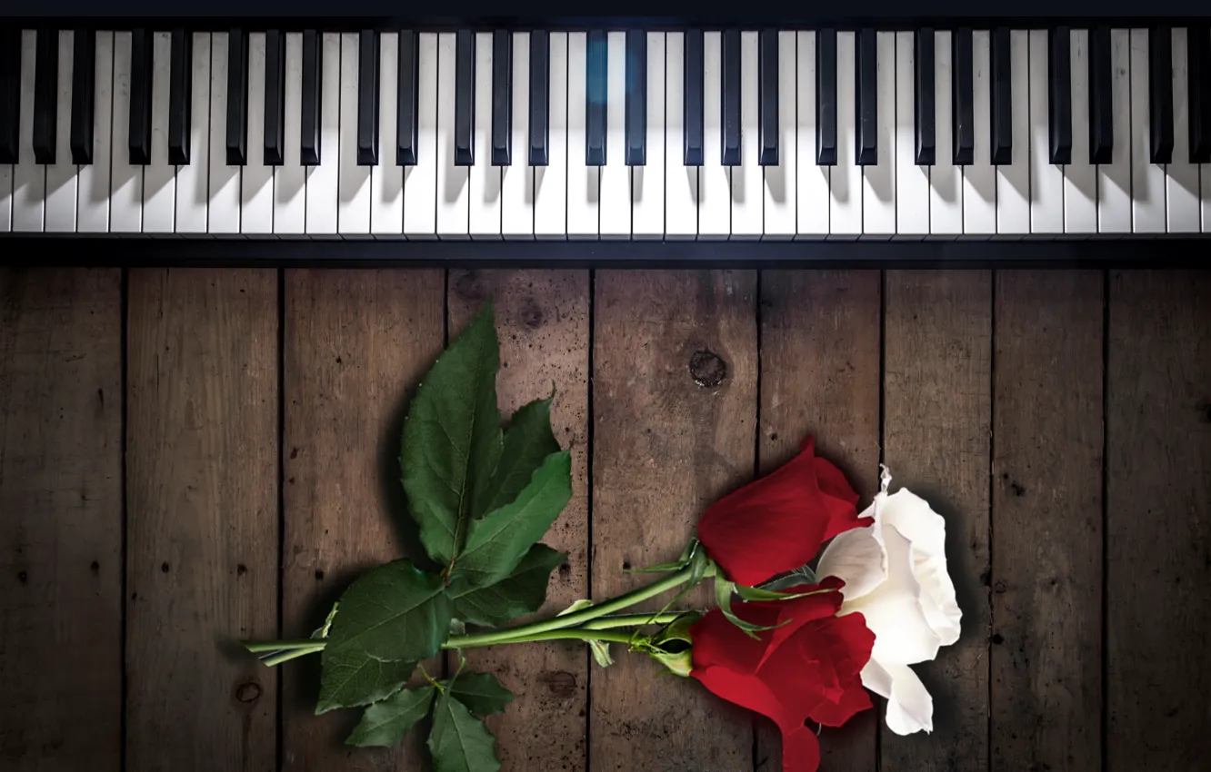 Instrumental rose