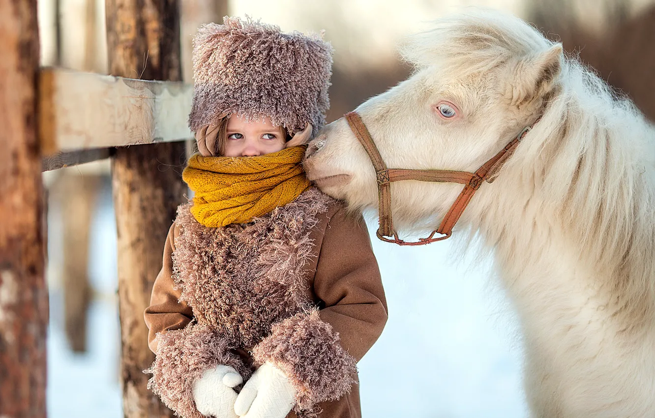 Фото обои girl, winter, horse