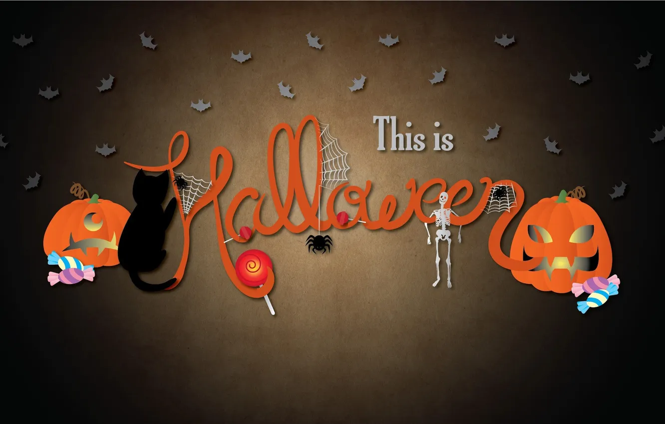 Фото обои кот, праздник, скелет, Halloween, тыква, Хеллоуин, летучие мыши