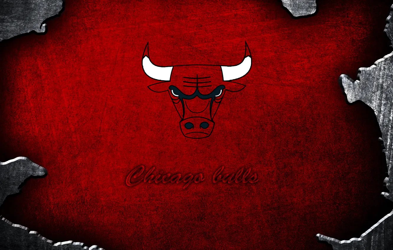 Фото обои красный, бык, chicago bulls