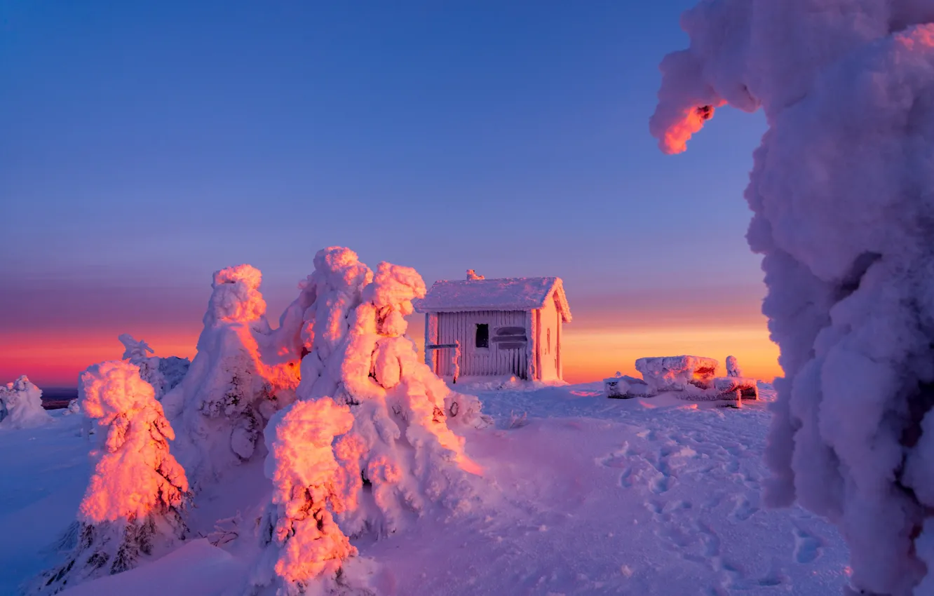 Фото обои зима, снег, деревья, пейзаж, следы, природа, домик, Финляндия