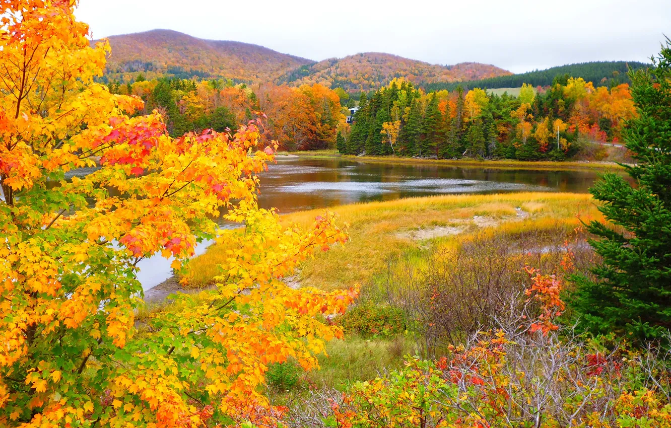 Фото обои осень, лес, небо, листья, деревья, горы, река