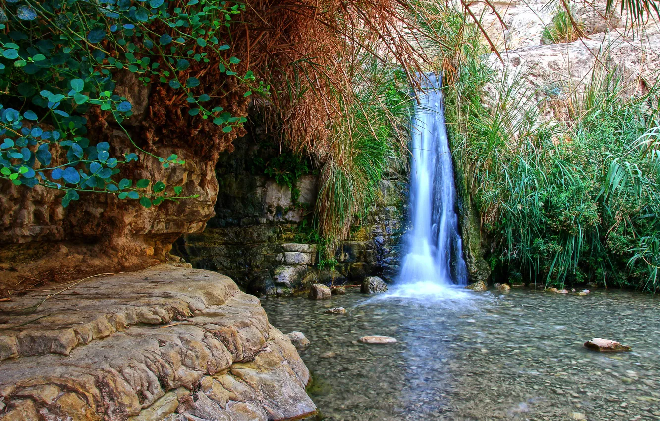 Фото обои вода, скала, камни, растение, водопад, грот