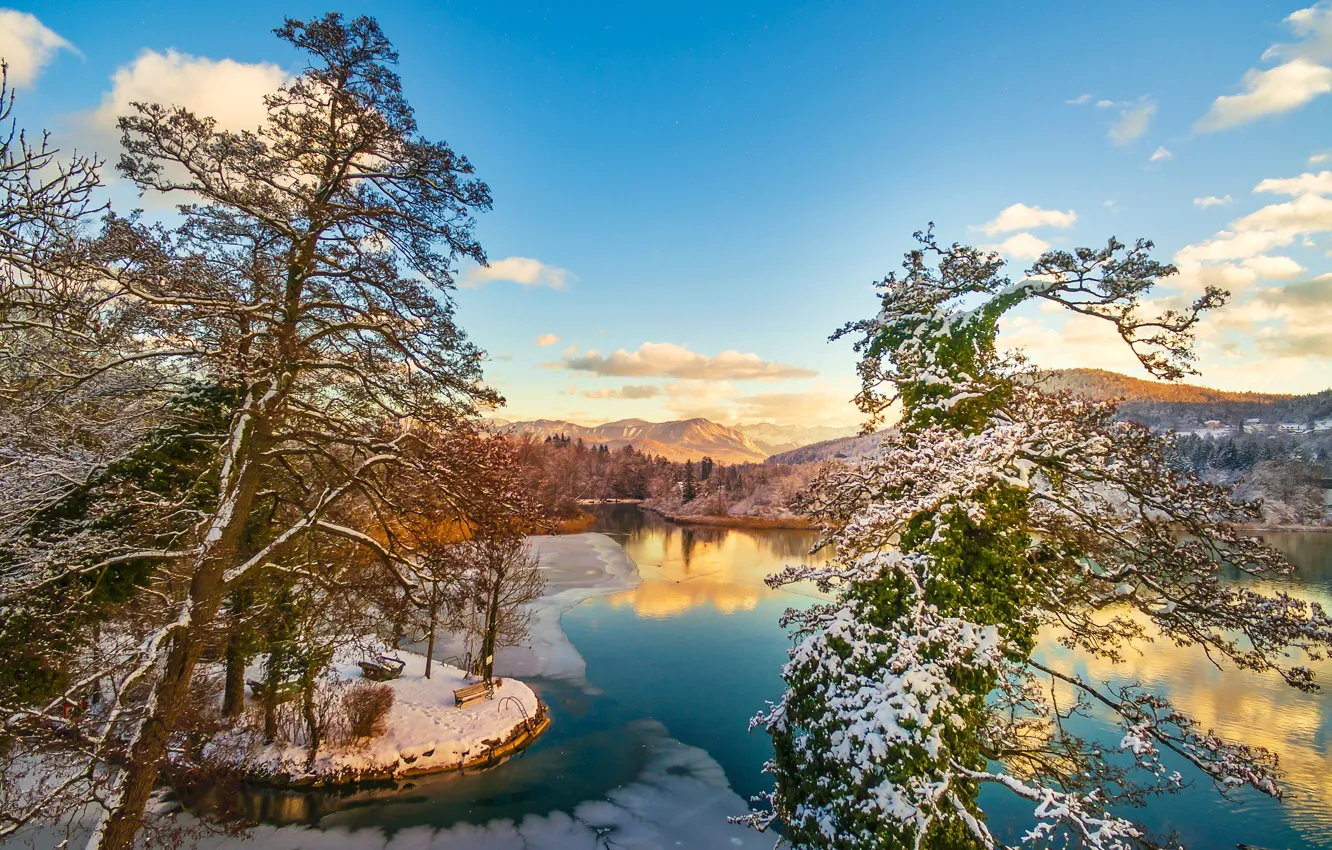 Фото обои зима, деревья, озеро, Австрия, панорама, сосны, Austria, Wörthersee