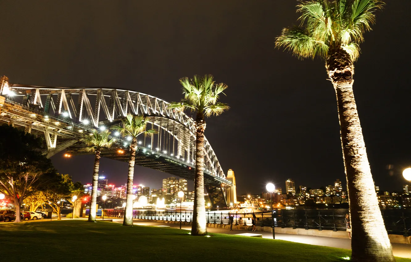Фото обои ночь, мост, огни, пальма, Австралия, Сидней