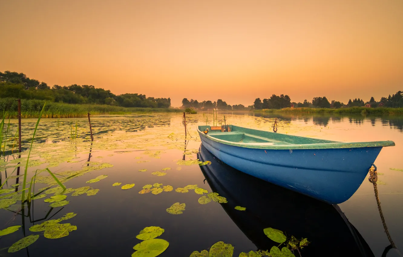 Фото обои лес, небо, листья, закат, туман, озеро, пруд, рассвет