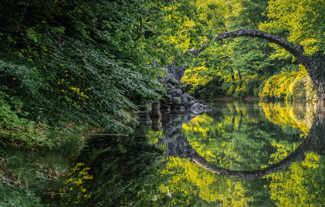 Фото обои лес, озеро, мостик