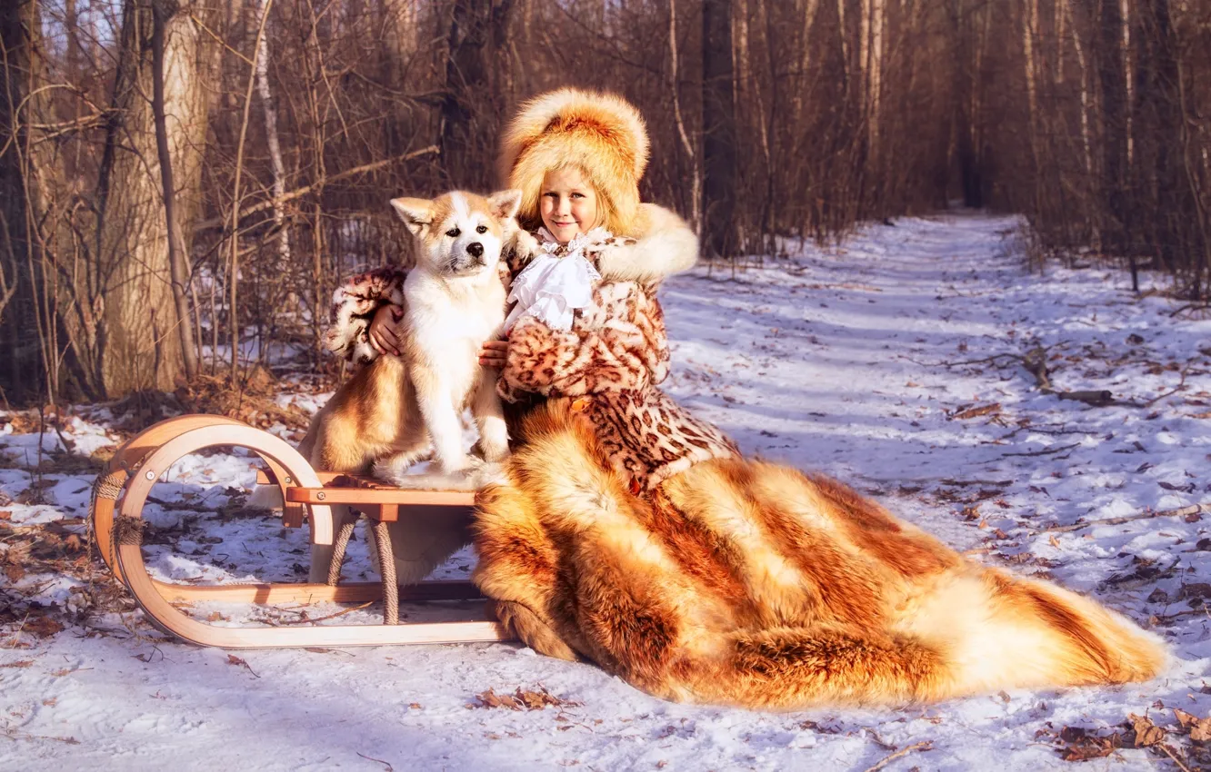 Фото обои зима, шапка, собака, девочка, шуба, сани