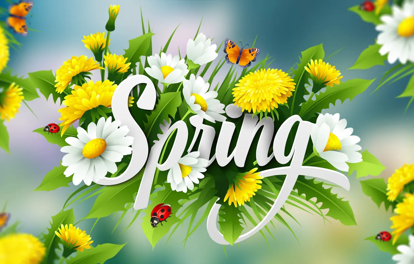 Фото обои Grafika, Kwiaty, Wiosna