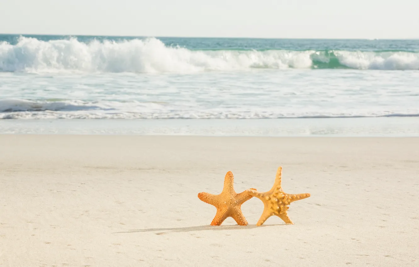 Фото обои песок, море, пляж, звезда, пара, summer, love, beach