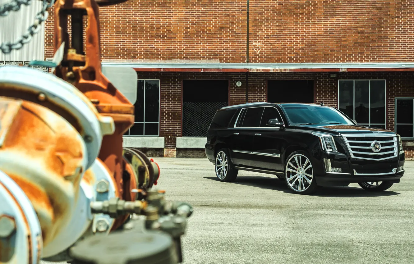 Фото обои cadillac, new, escalade