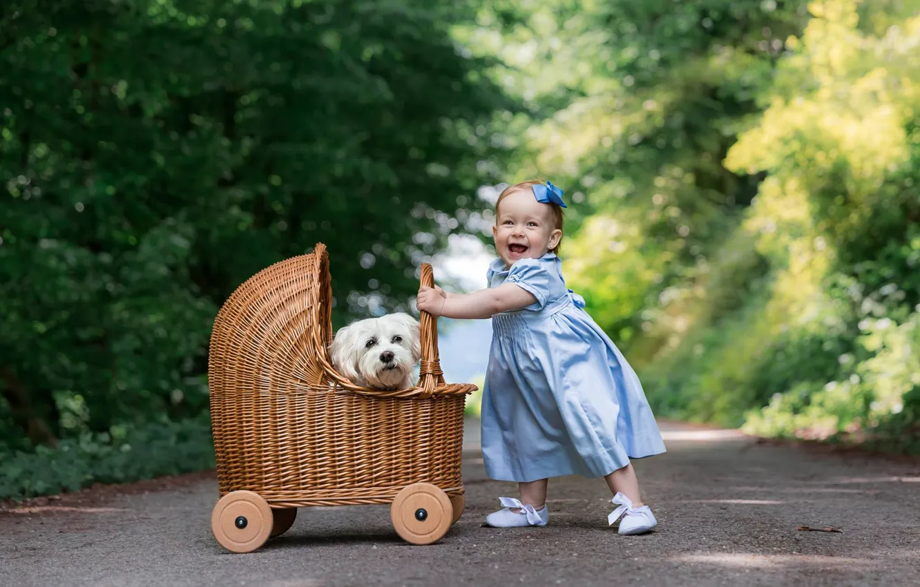 Фото обои дорога, радость, настроение, собака, платье, девочка, коляска, прогулка