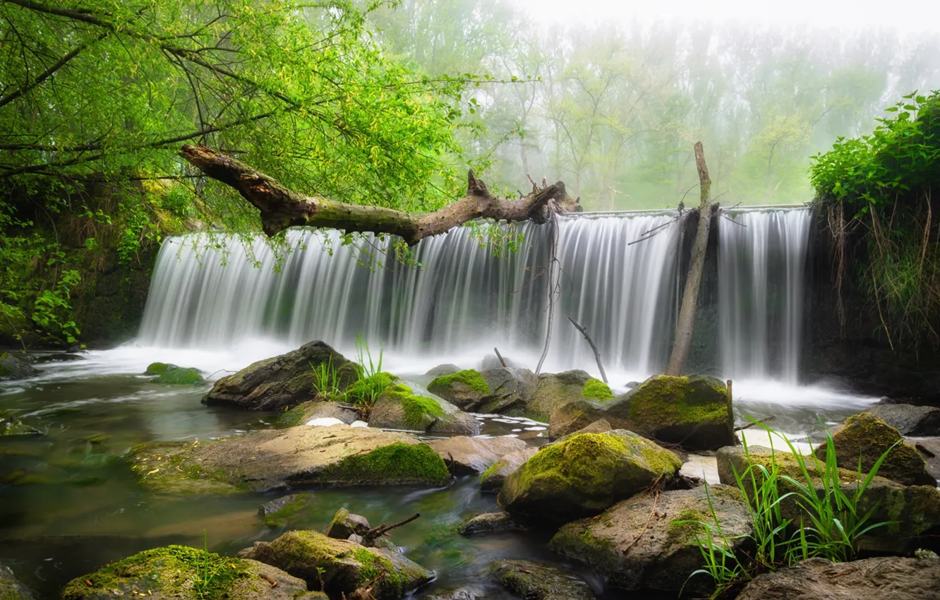 Фото обои вода, деревья, камни, водопад