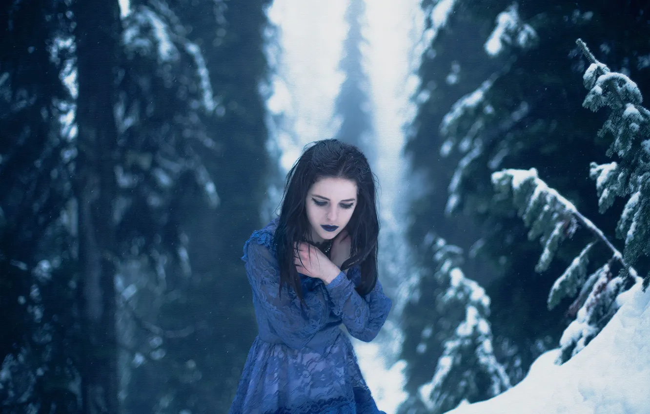 Фото обои холод, зима, лес, девушка, макияж, Lichon