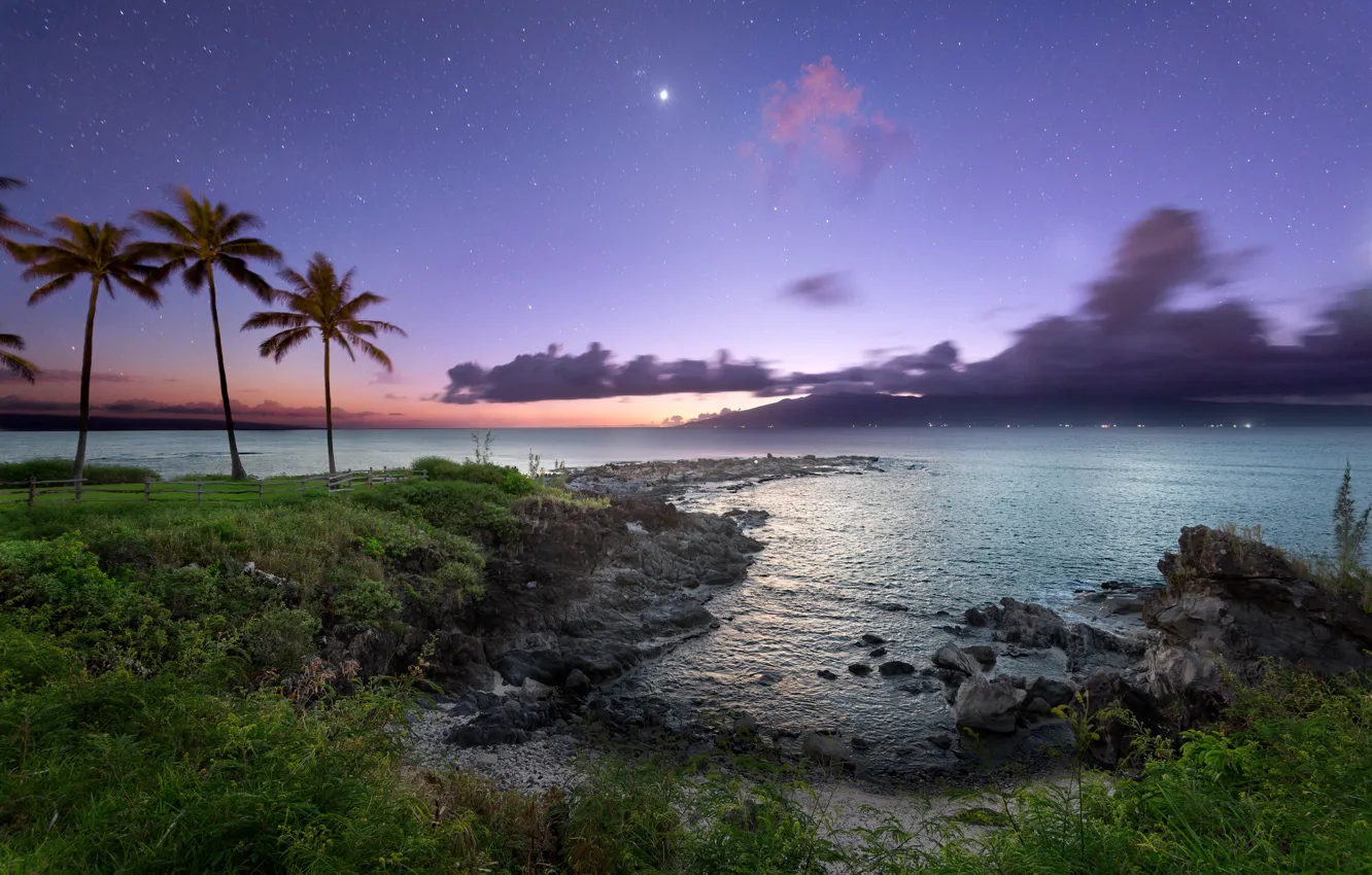 Фото обои ночь, пальмы, океан, побережье, звёзды, Hawaii, Maui