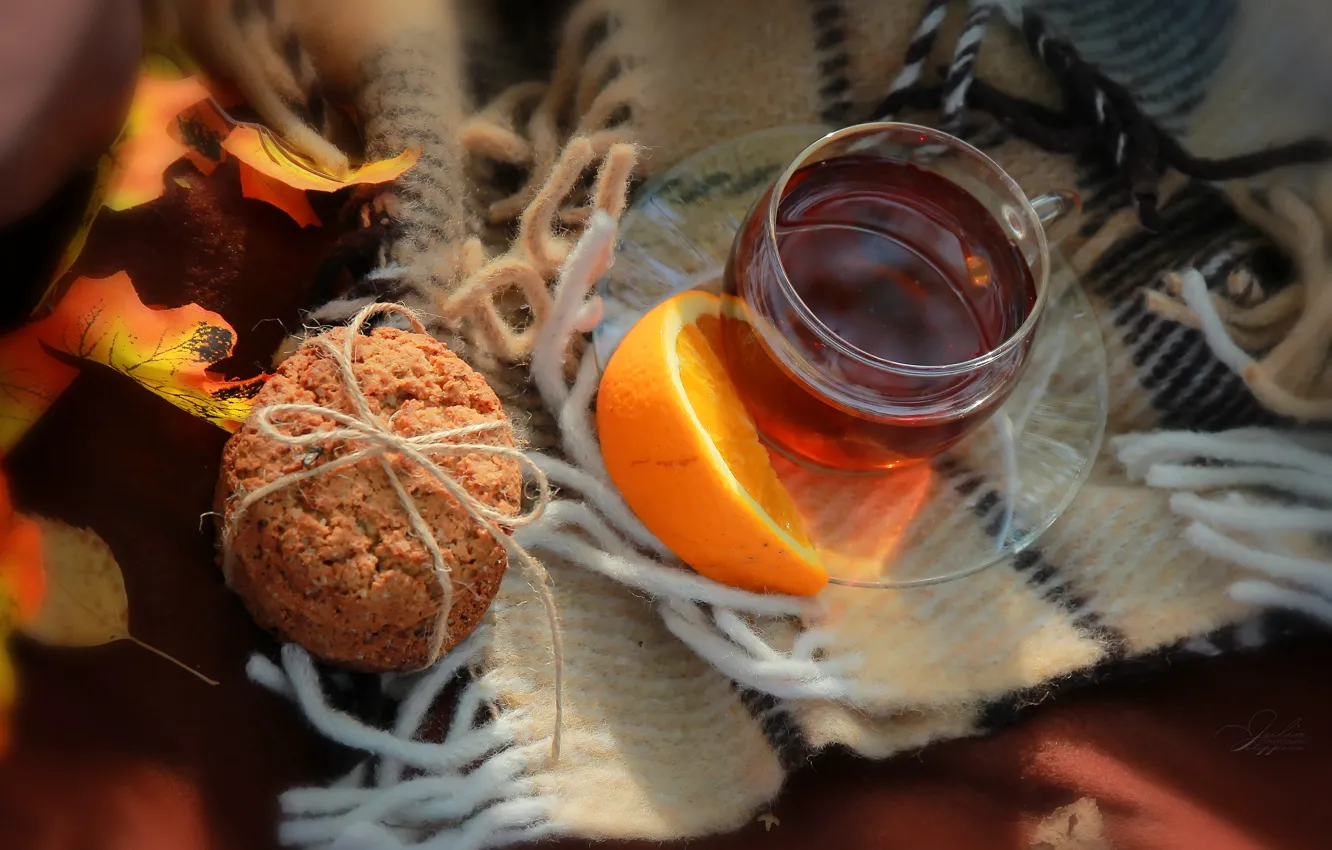 Фото обои осень, тепло, настроение, чай, апельсины, плед, autumn, tea