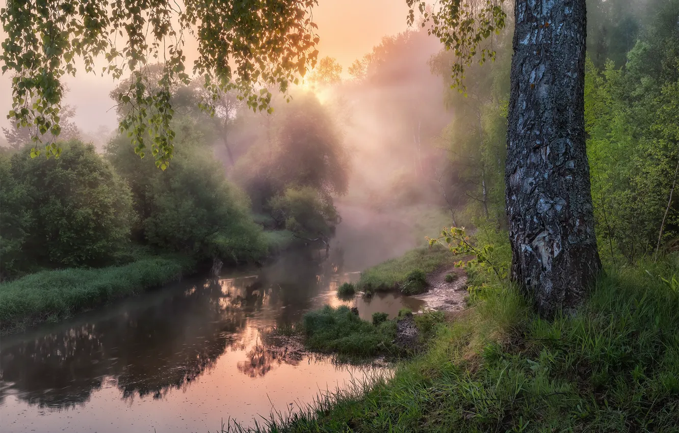 Фото обои лучи, пейзаж, природа, туман, ручей, утро, речушка