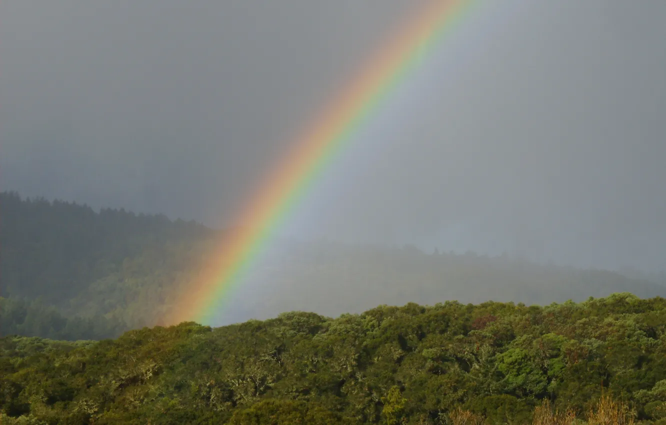 Фото обои природа, радуга, Rainbow, nature