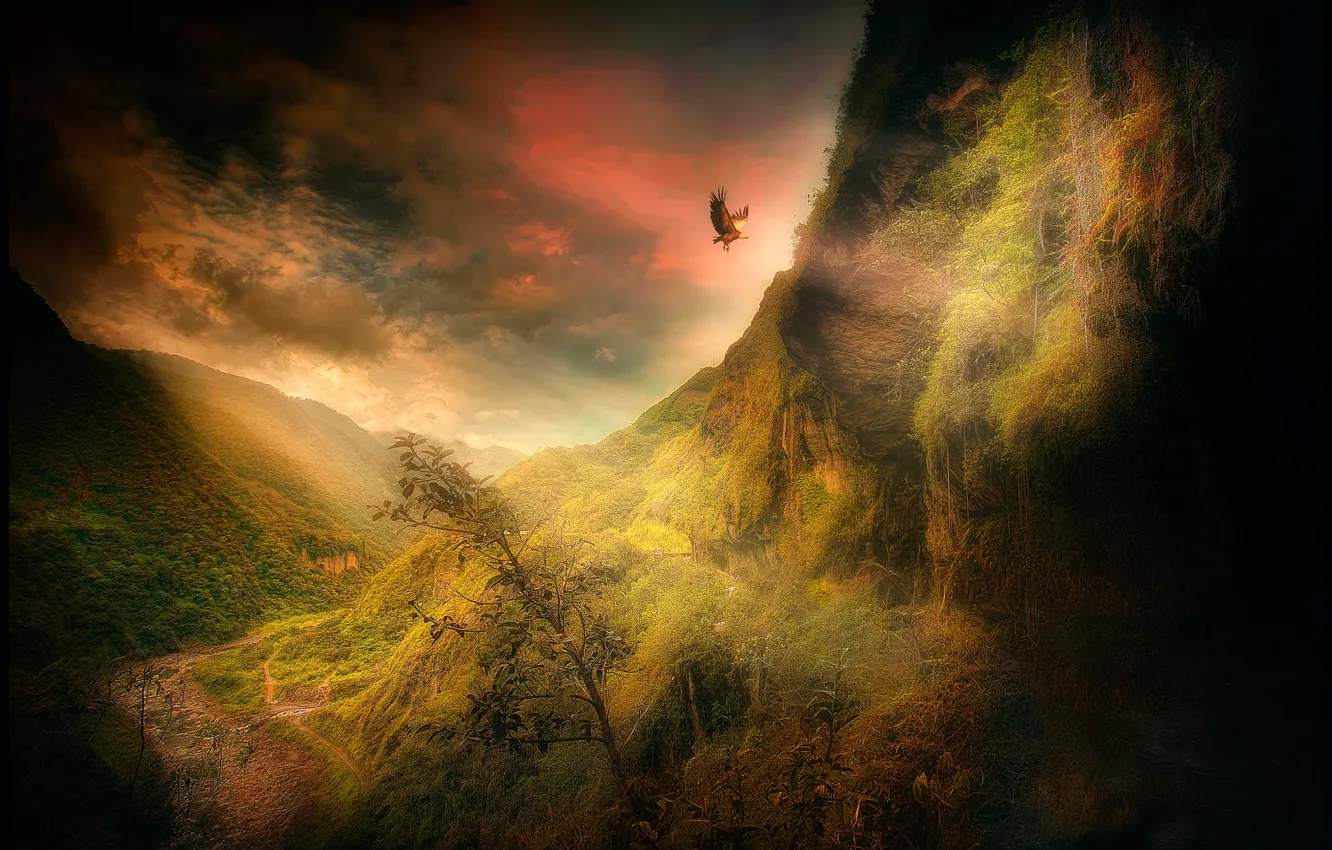 Фото обои горы, птица, обработка, The Condor of the Andes