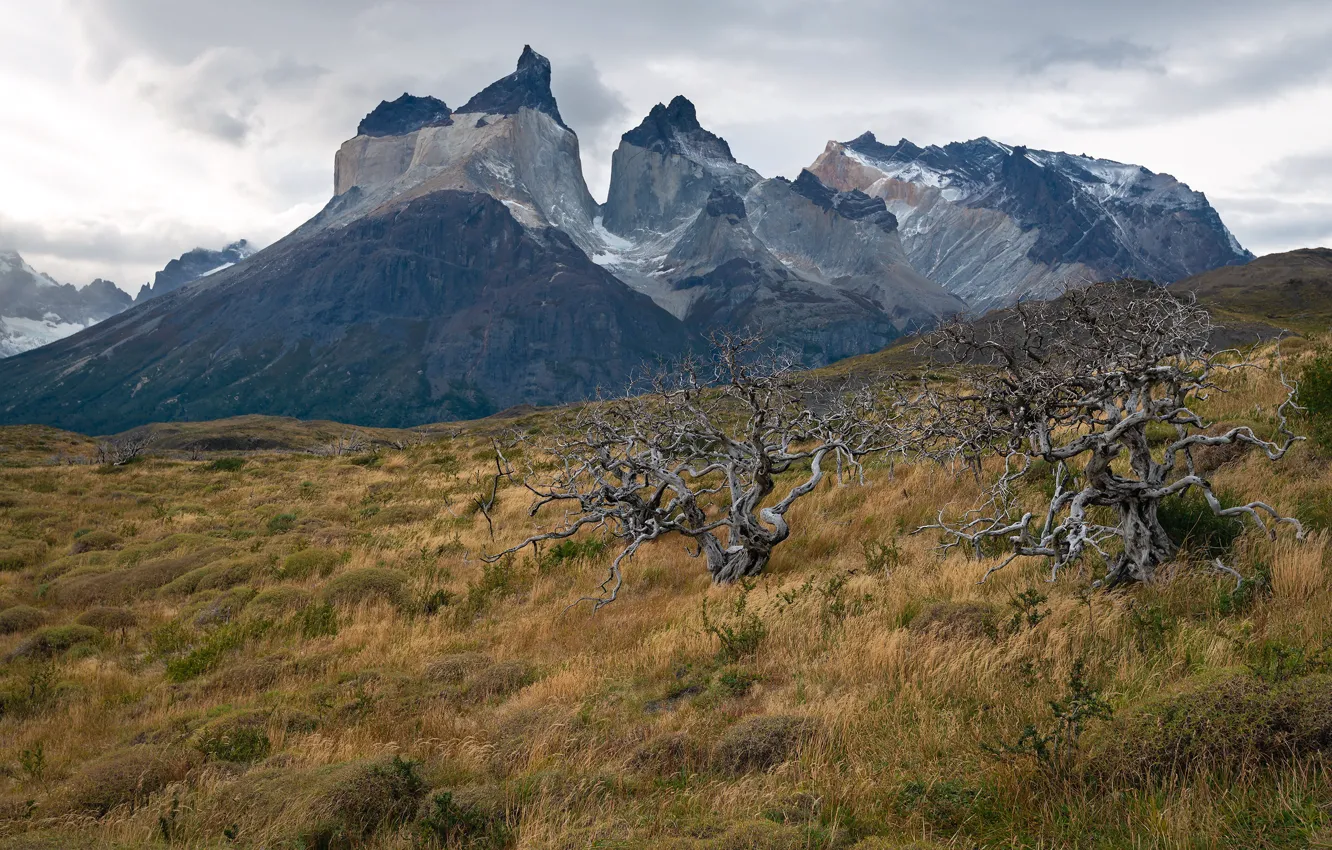 Фото обои Chile, Patagonia, Torres del Paine National Park