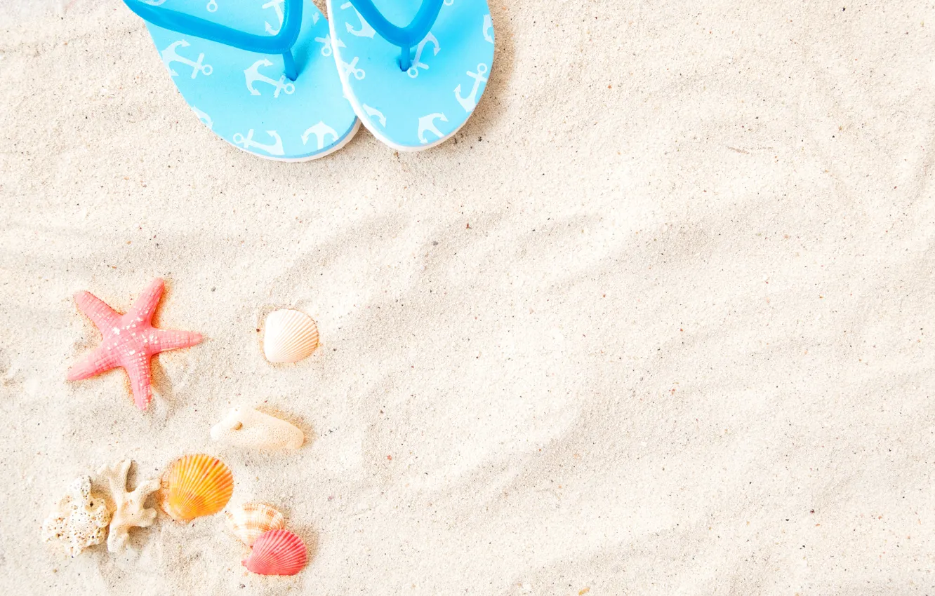 Фото обои песок, пляж, звезда, ракушки, summer, beach, sand, marine