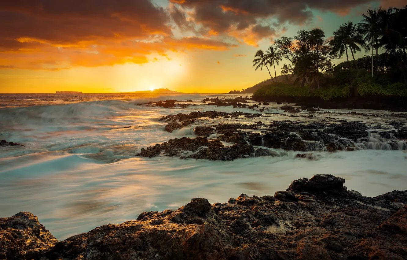 Фото обои море, волны, камни, пальмы, берег