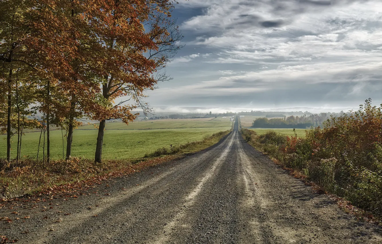 Фото обои дорога, поле, осень, небо, природа