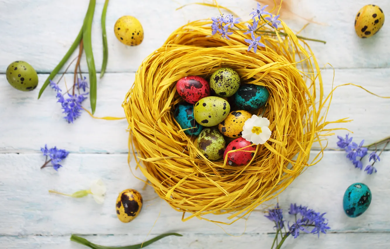 Фото обои цветы, праздник, яйца, пасха, гнездо
