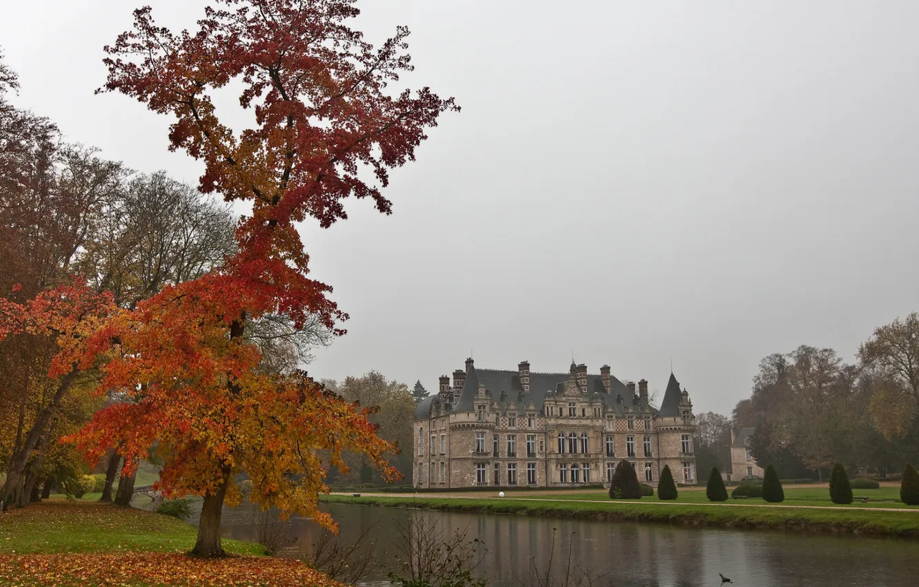 Фото обои осень, деревья, природа, дворец