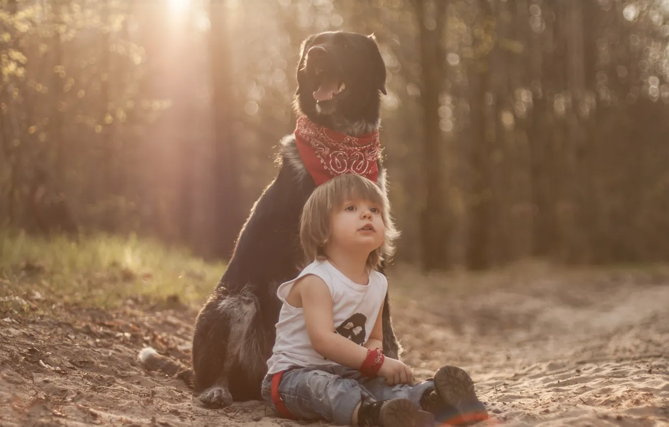 Фото обои собака, мальчик, друзья, пёс