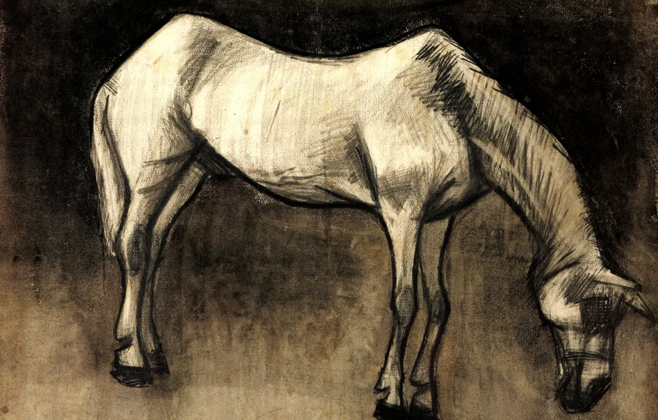 Фото обои Vincent van Gogh, белая лошадь, Old Nag