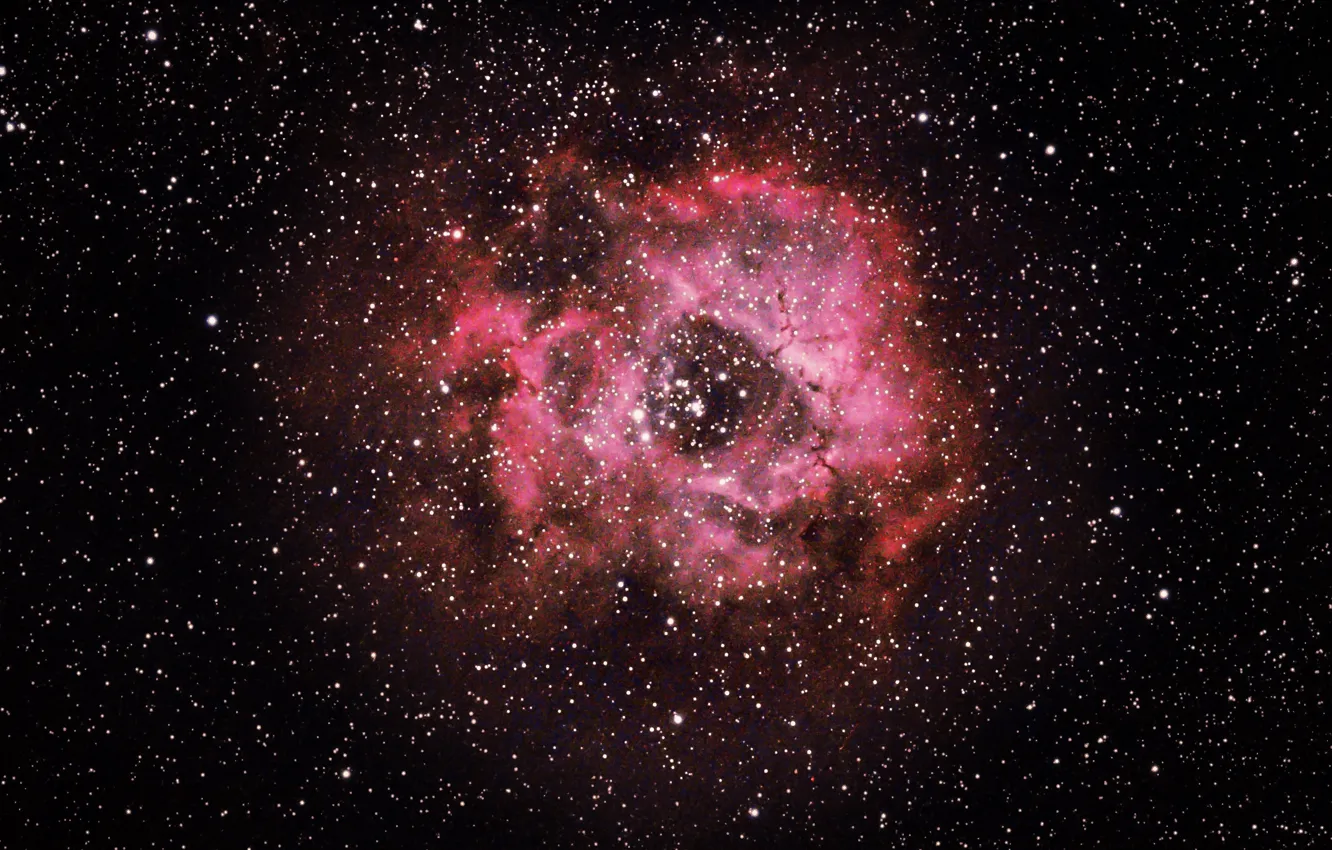 Фото обои space, nebula, stars, rosetta nebula