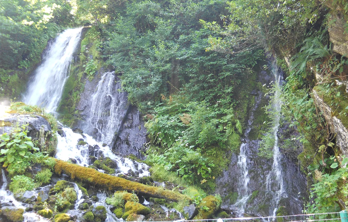 Фото обои зелень, вода, водопад, Абхазия