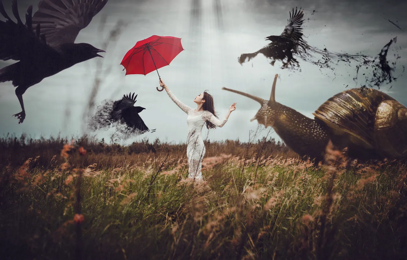 Фото обои поле, трава, девушка, волосы, улитка, платье, вороны, красный зонт