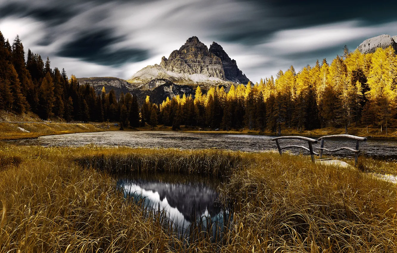 Фото обои осень, лес, деревья, горы, река, Италия, мостик, Доломитовые Альпы