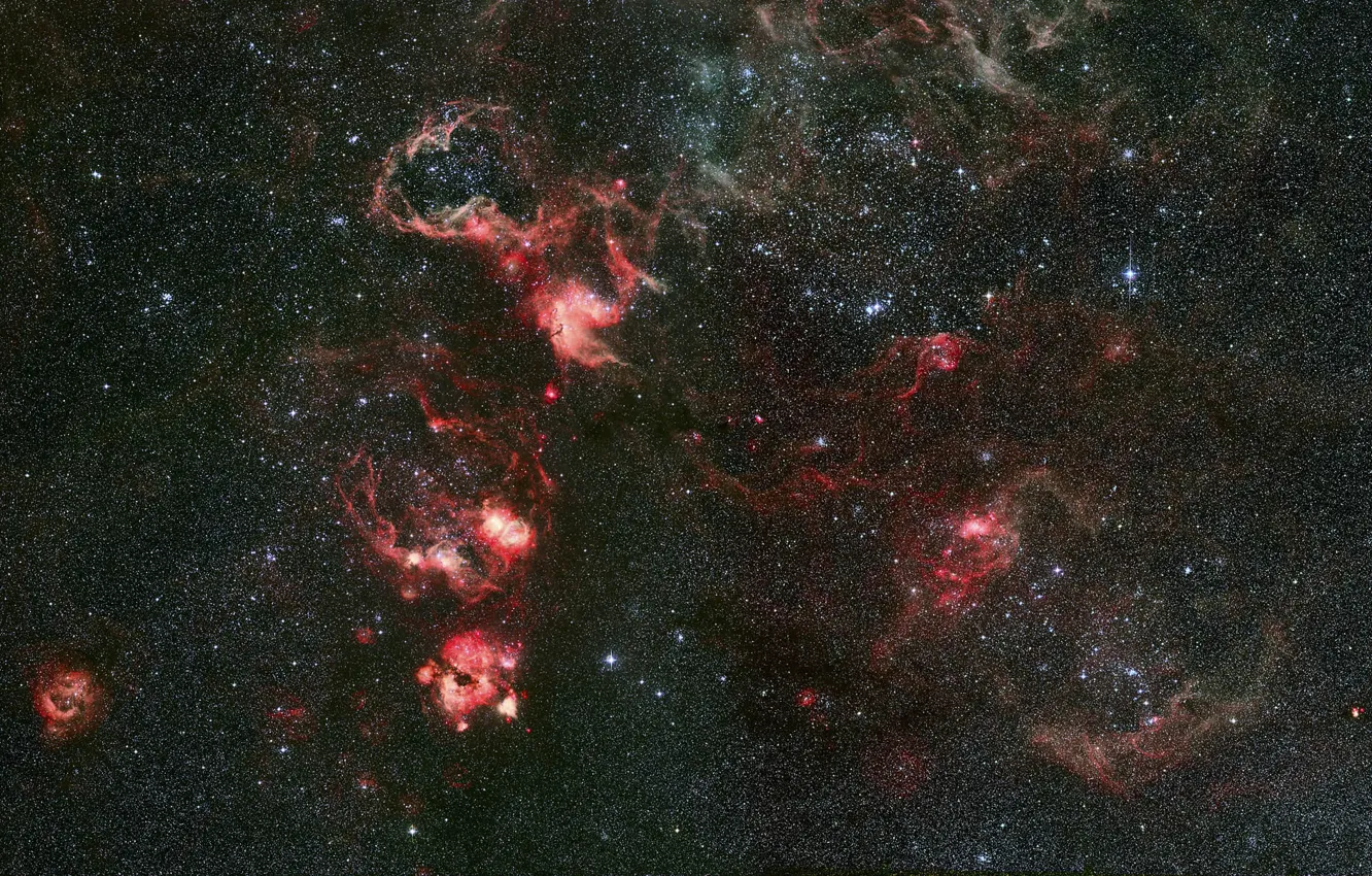 Фото обои туманность, созвездие, Золотая Рыба, Тарантул, NGC 2070