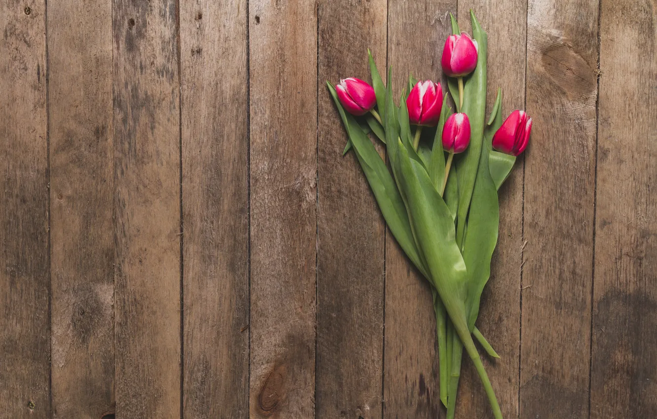 Фото обои цветы, тюльпаны, розовые, fresh, wood, pink, flowers, tulips