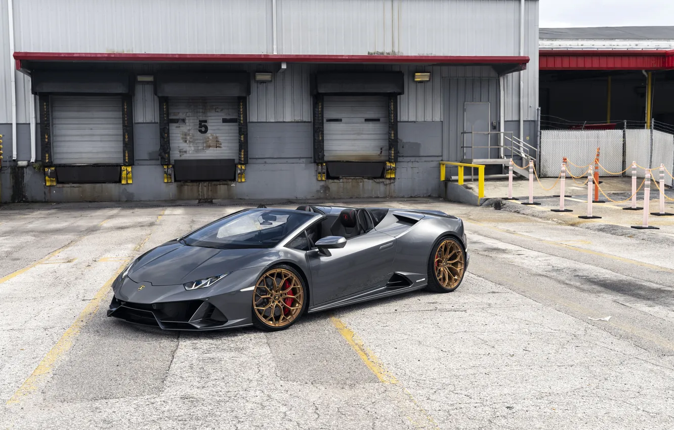 Фото обои car, Lamborghini, wallpaper, supercar