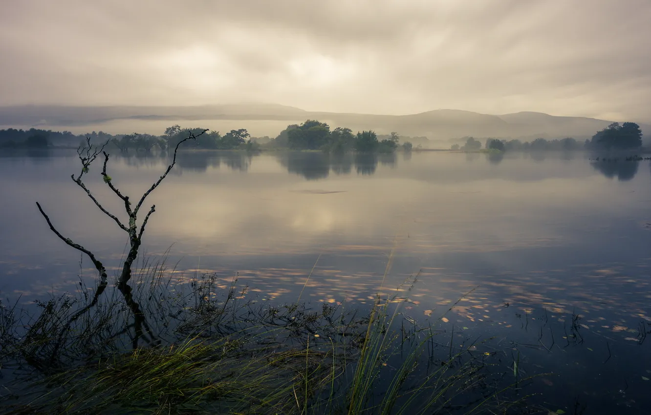 Фото обои туман, озеро, утро