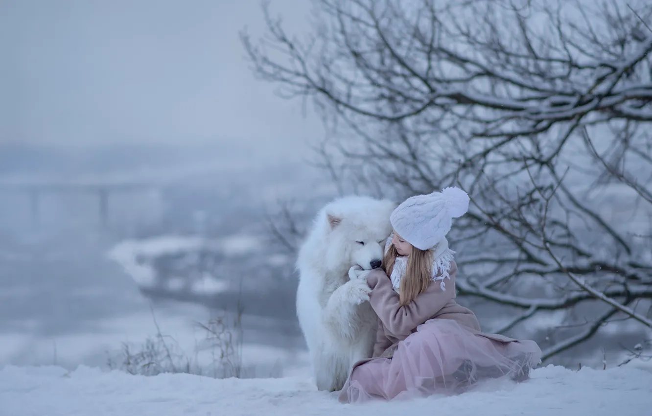 Фото обои зима, снег, радость, собака, девочка, самоед