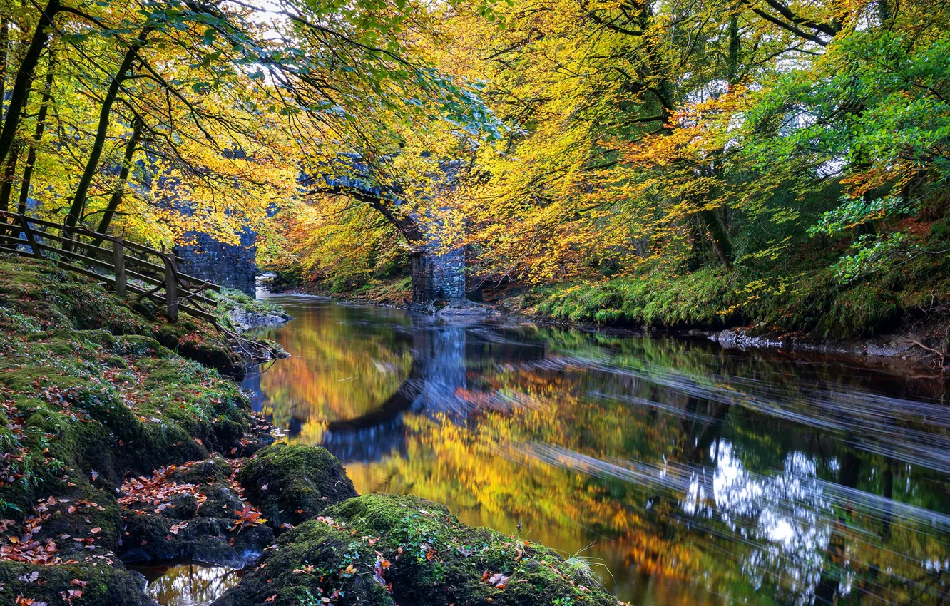 Фото обои осень, листья, деревья, парк, Англия, мох, арка, речка