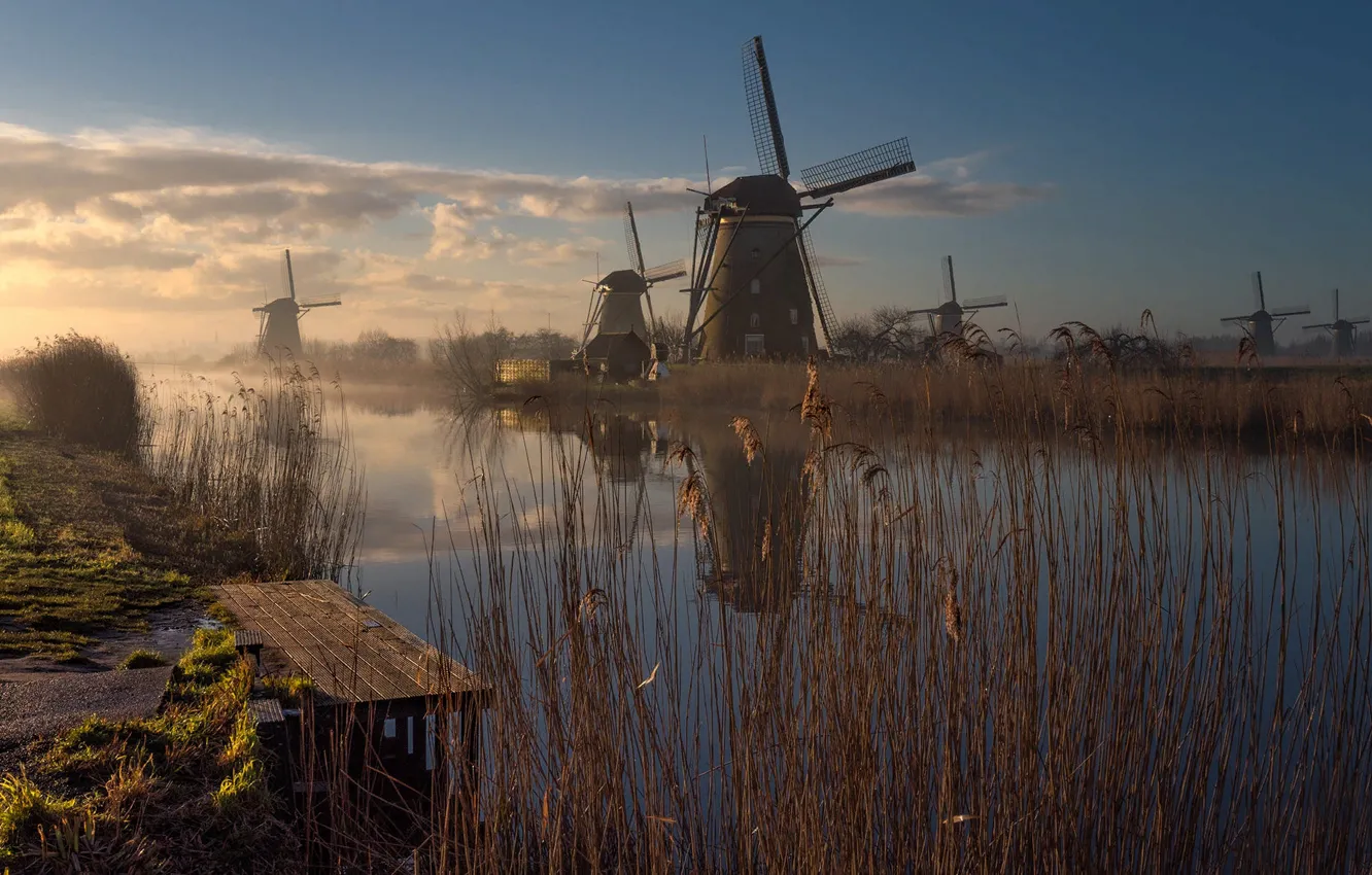Фото обои трава, пейзаж, природа, туман, река, утро, мельницы, Нидерланды