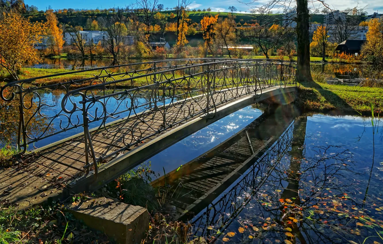 Фото обои осень, парк, ручей, Швейцария, мостик, кантон Цюрих