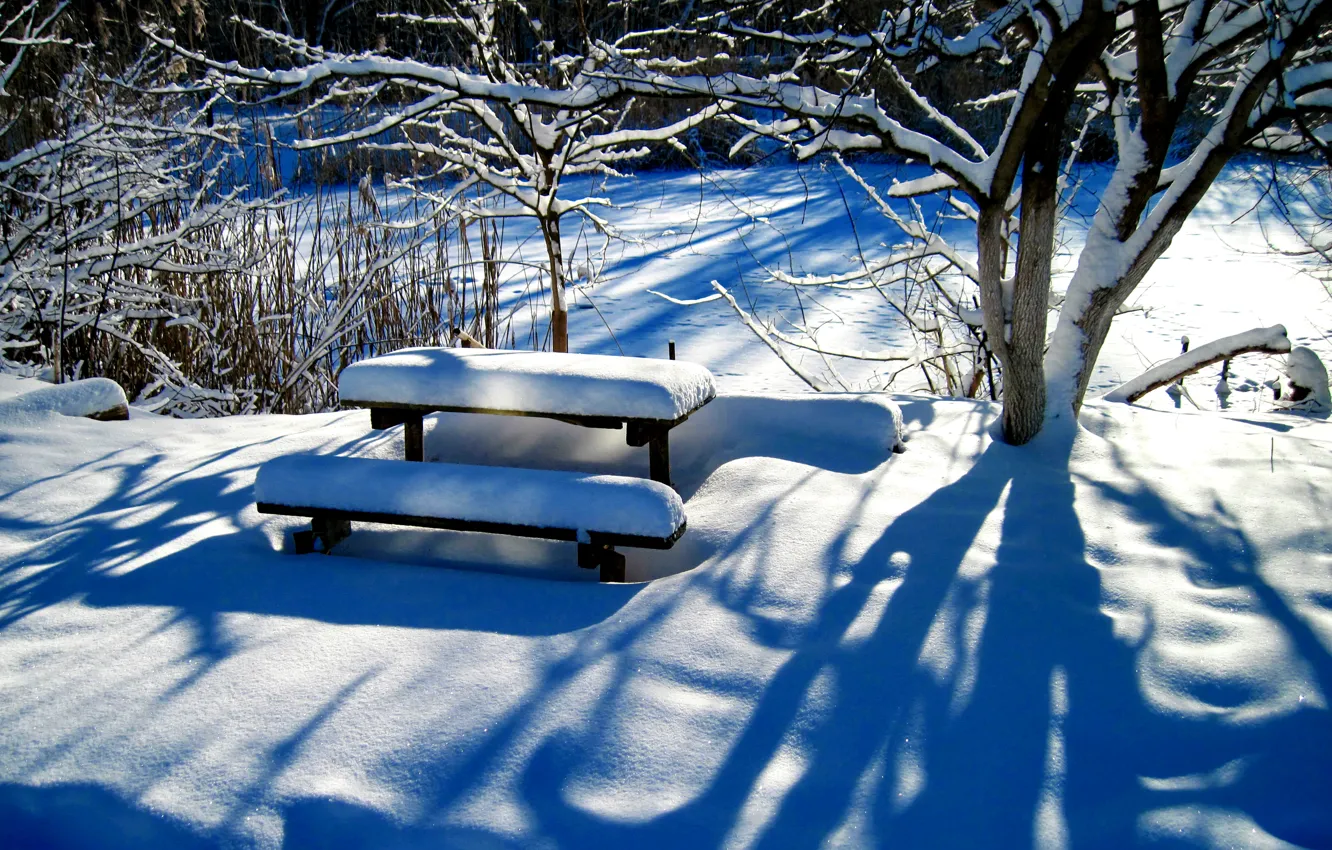 Фото обои зима, снег, стол, дерево, двор, скамья