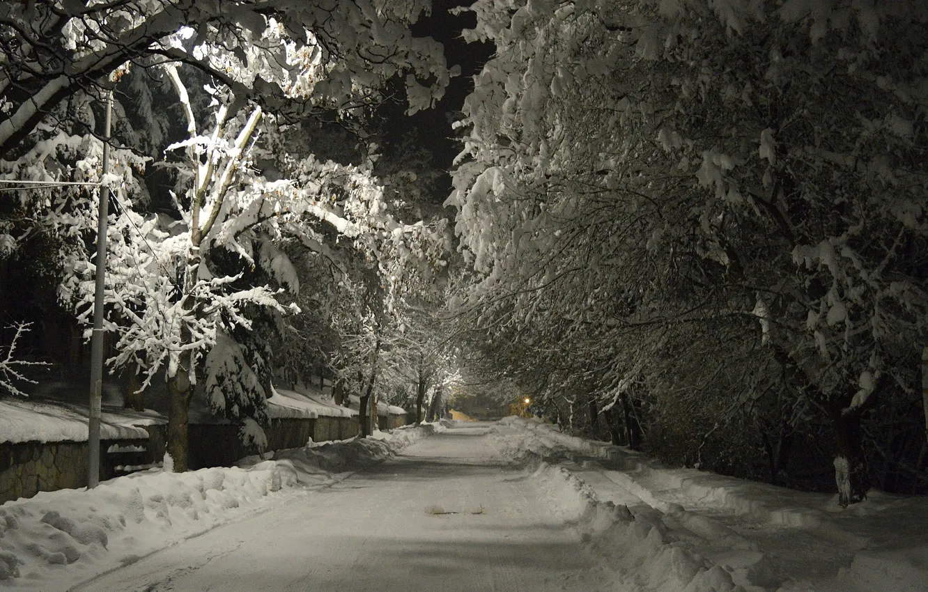 Фото обои Зима, Дорога, Ночь, Снег, Мороз, Winter, Frost, Night