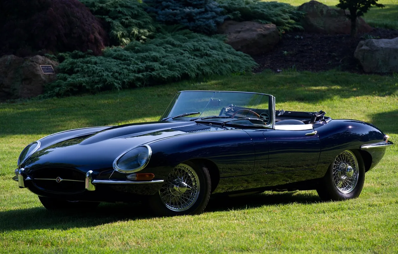 Фото обои газон, Jaguar, Ягуар, E-Type, классика, кусты, передок, красивая машина
